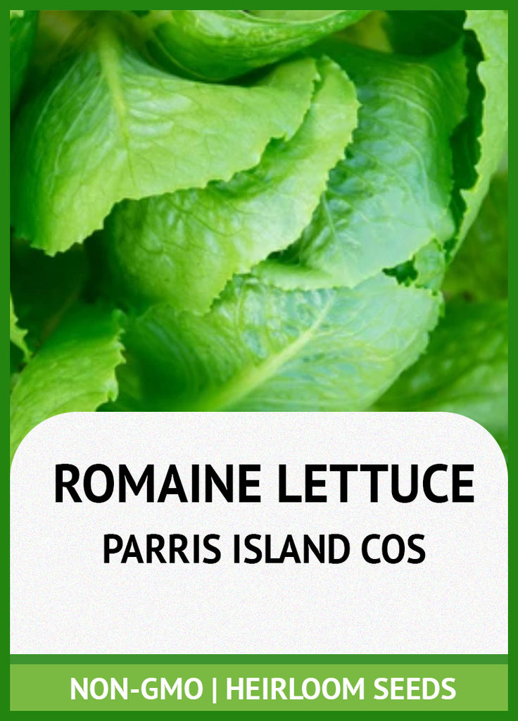 PARRIS ISLAND COS ROMAINE LETTUCE GROWING GUIDE
