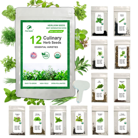 12 Essential Culinary Herb Seeds Collection - Basil, Chives, Chervil, Cilantro, Dill, Marjoram, Oregano, Parsley, Peppermint, Sage, Tarragon, Thyme