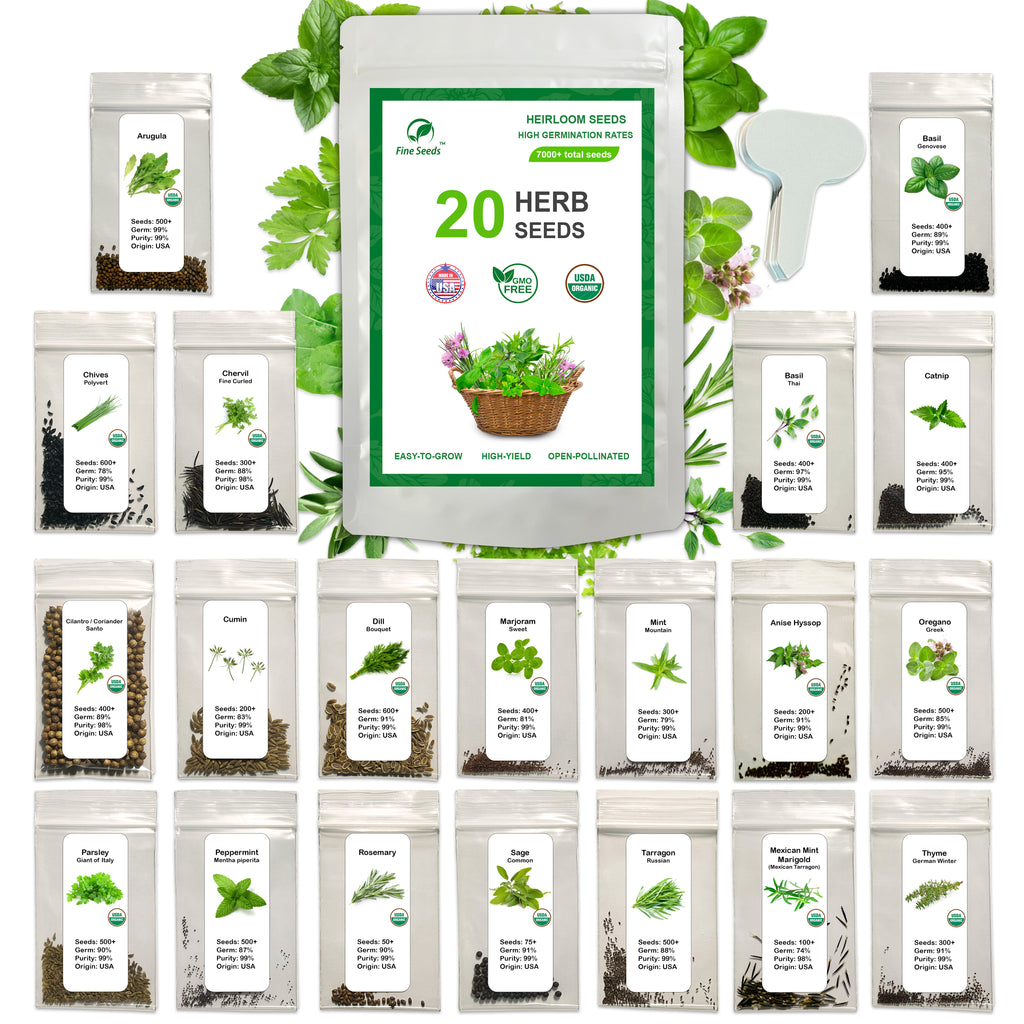 organic non gmo seeds for planting 20 Culinary Herb Seeds Collection